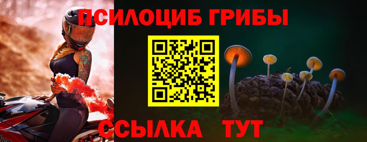 Галлюциногенные грибы MAGIC MUSHROOMS  Вход с VPN  Арзамас 